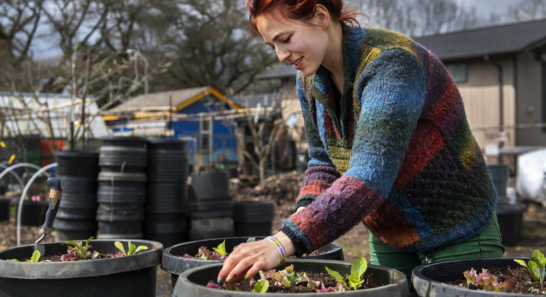 No stopping these planters: School garden group making pots for kids